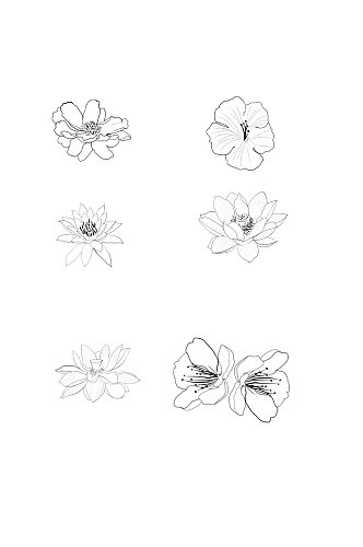 手绘线条莲花花朵元素