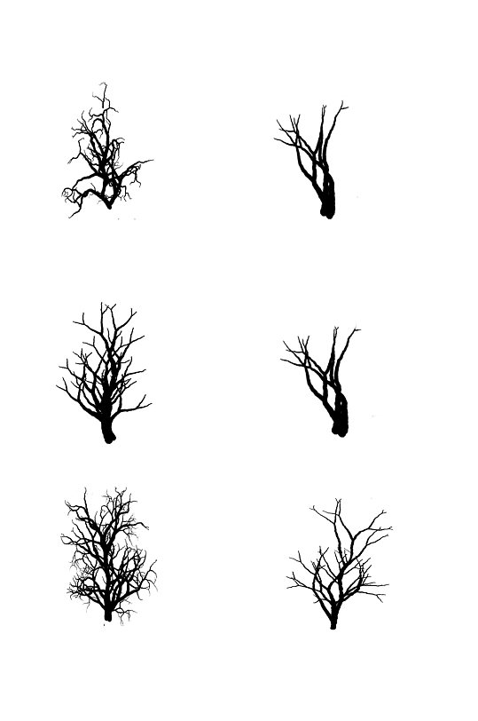 手绘线条树枝树木元素