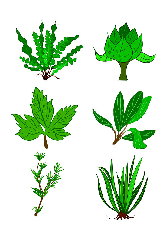 绿色手绘植物叶片元素