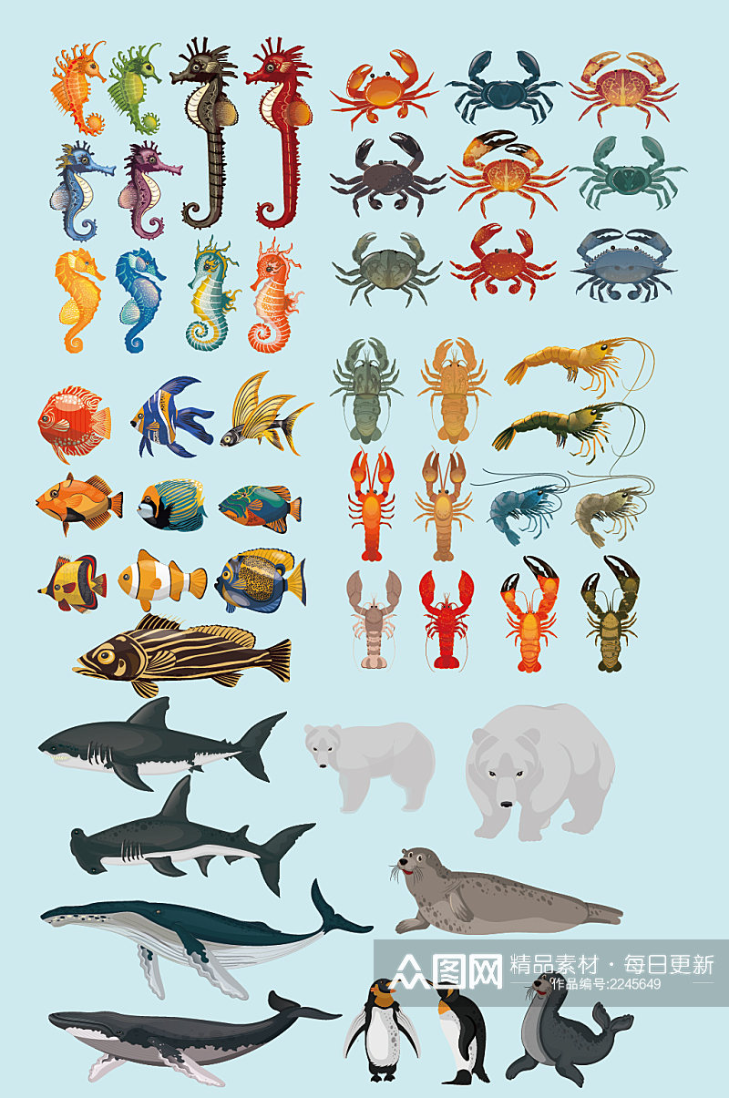 矢量海洋生物动物素材