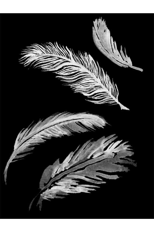 手绘羽毛玄关图片-手绘羽毛玄关素材下载-众图网