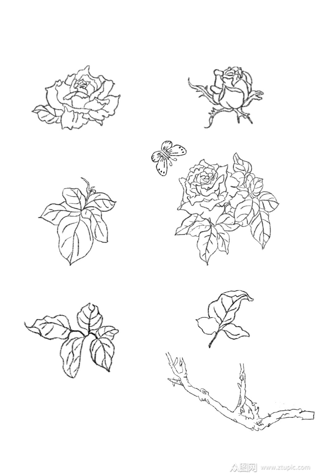 手绘线条花朵树枝元素