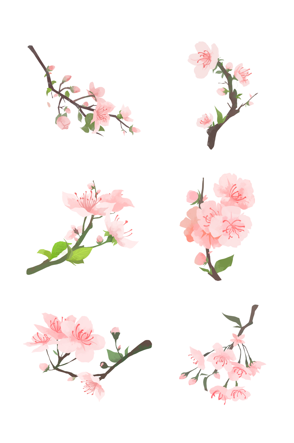 手绘粉红色樱花元素素材