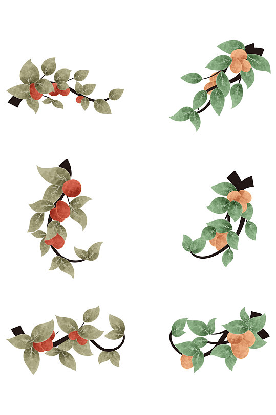 ai适量手绘山茶油