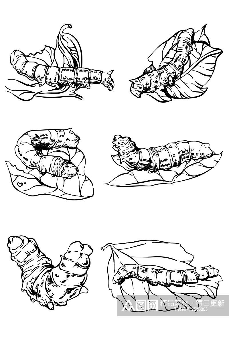 AI矢量手绘黑白蚕素材