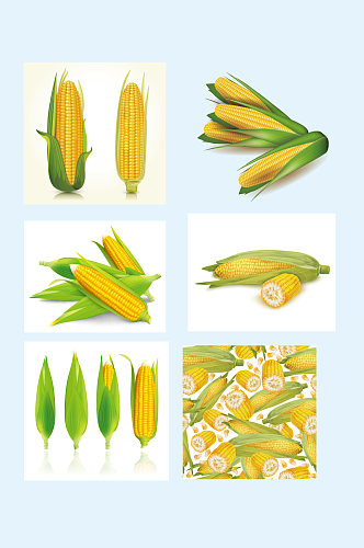 矢量手绘玉米元素