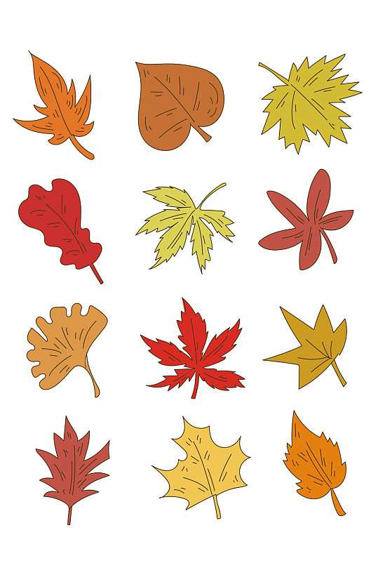 ai矢量手绘枫叶