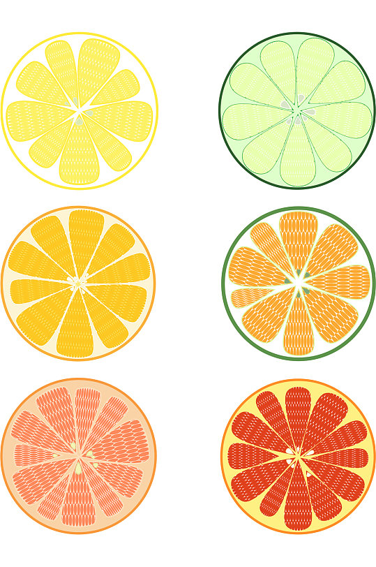 AI矢量手绘柑橘切片
