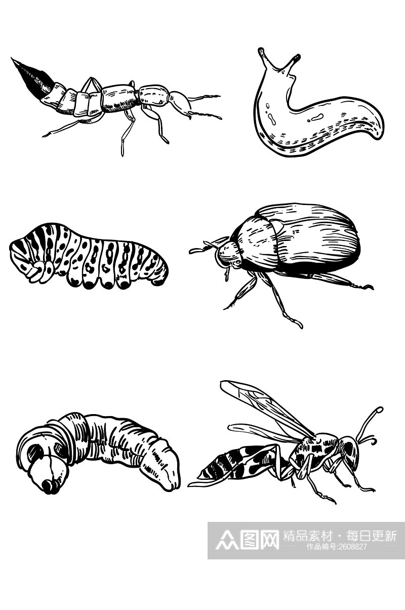 AI矢量手绘线条虫子昆虫素材