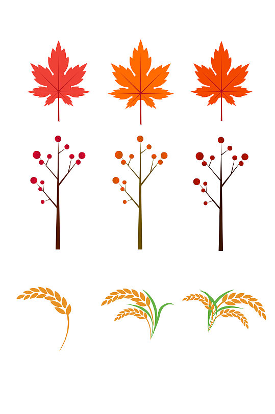 秋天红枫叶浆果树山楂树红果果水稻
