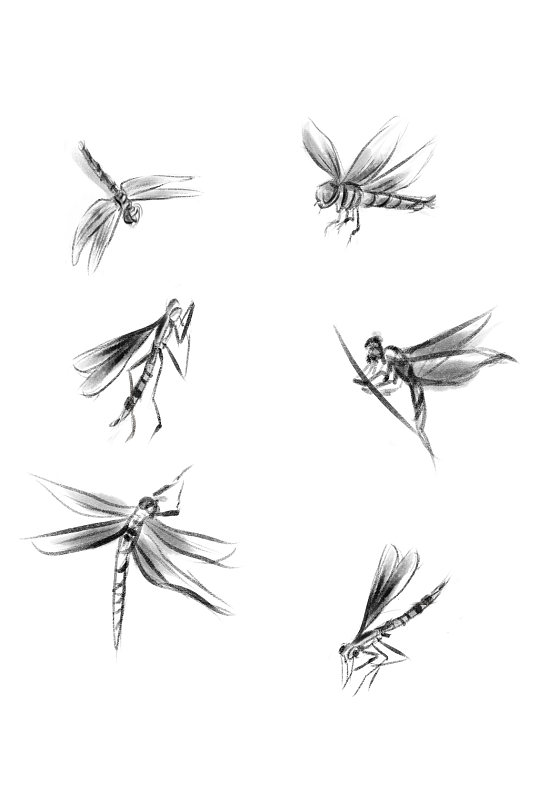 手绘线条黑色蜻蜓元素