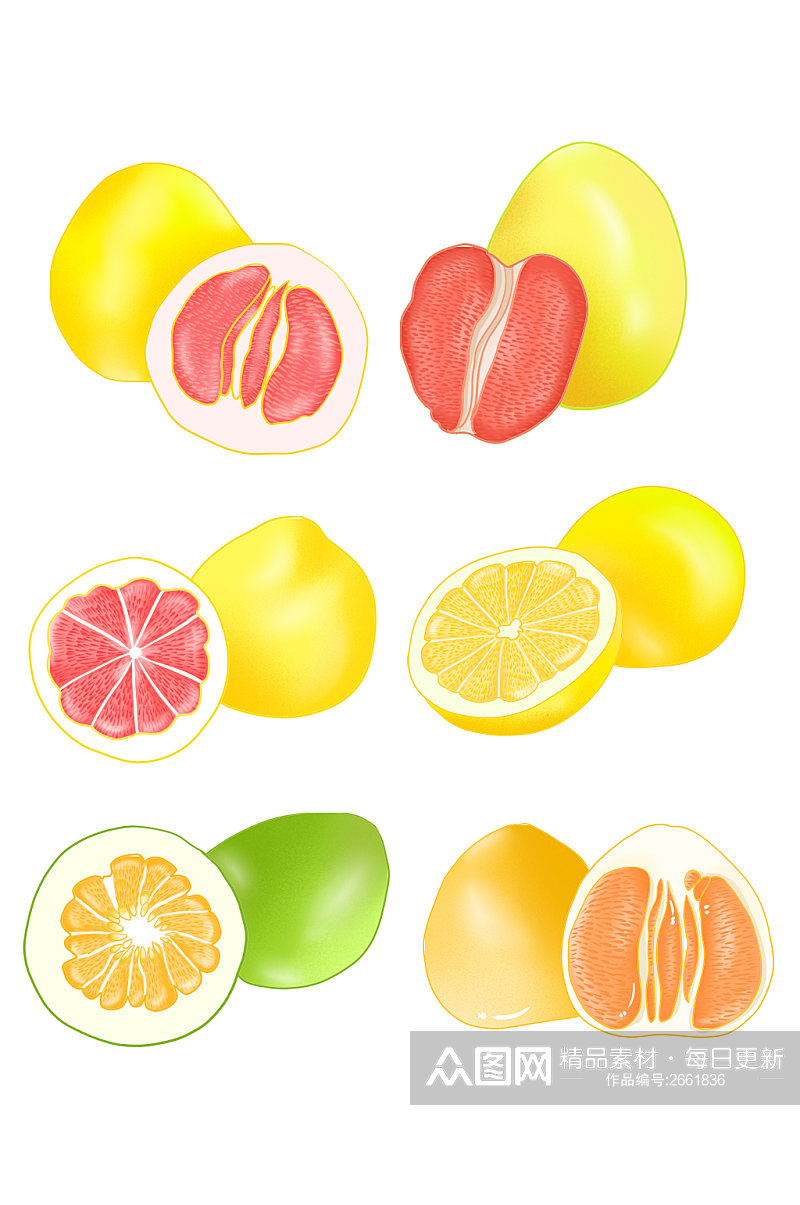 卡通手绘柚子元素素材