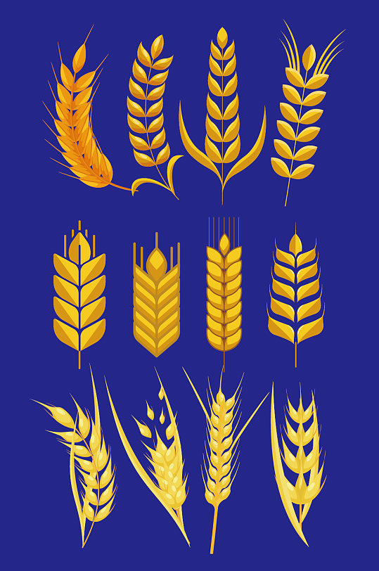 矢量金色麦子麦穗