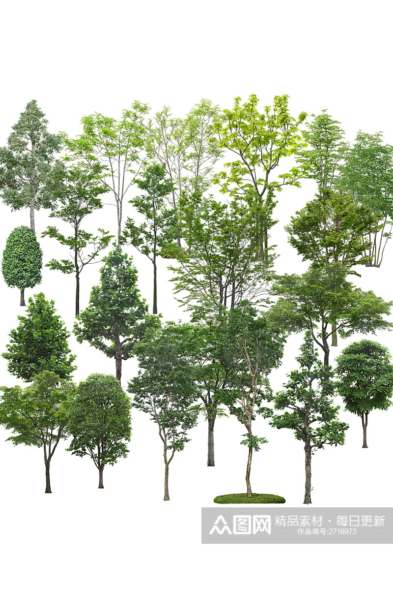 绿色树枝大树元素素材