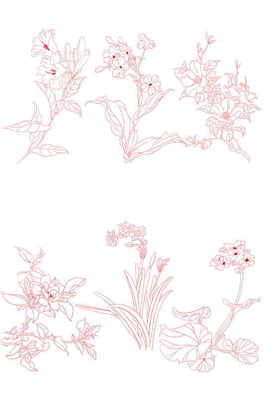 手绘白描花卉6朵元素