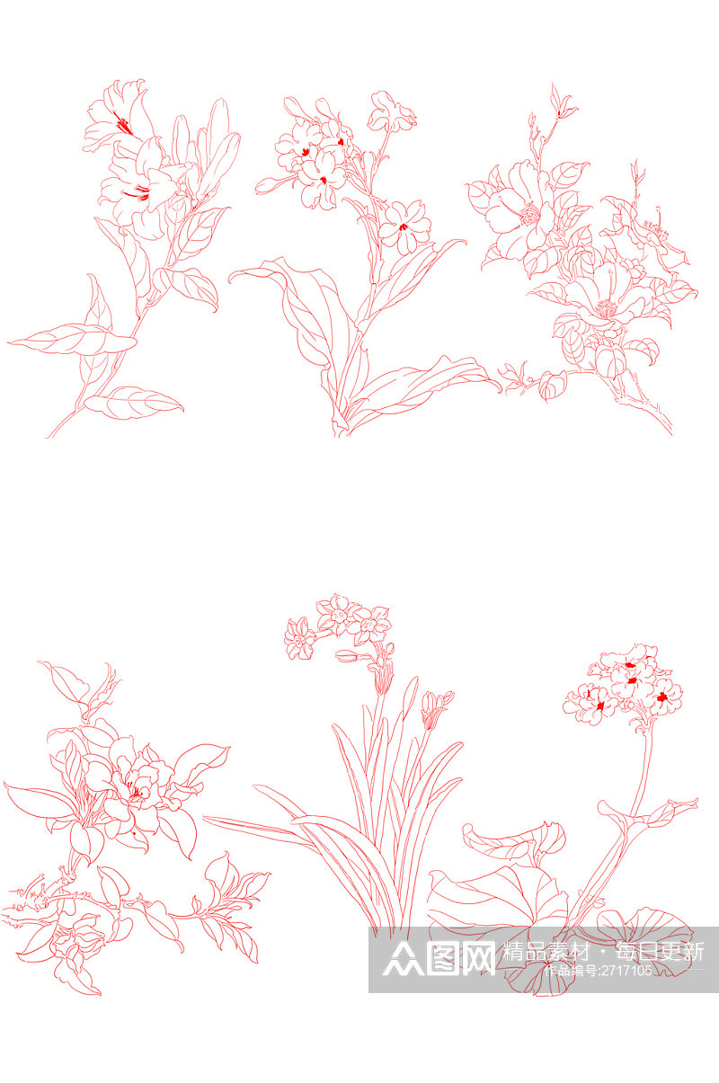 手绘白描花卉6朵元素素材
