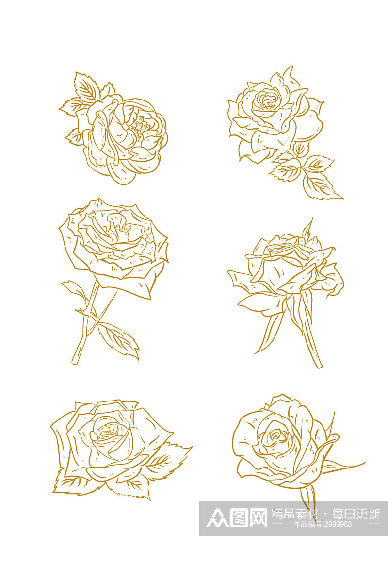 金色线条手绘玫瑰花元素素材