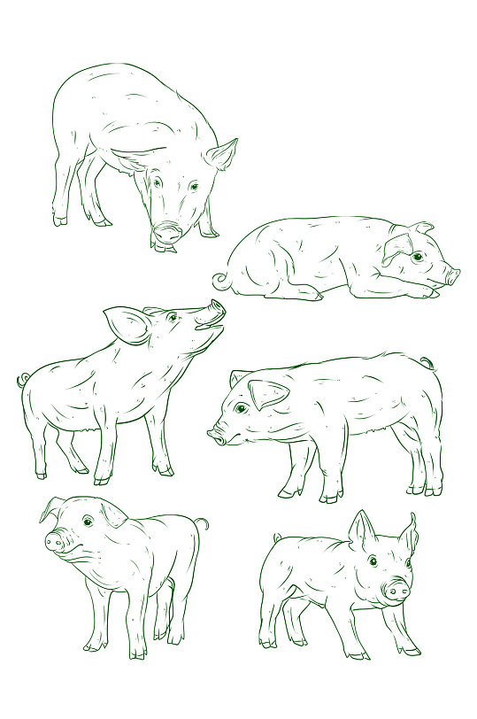 简约手绘家畜猪素描图元素