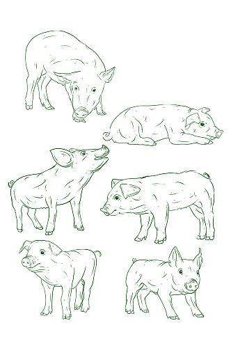简约手绘家畜猪素描图元素