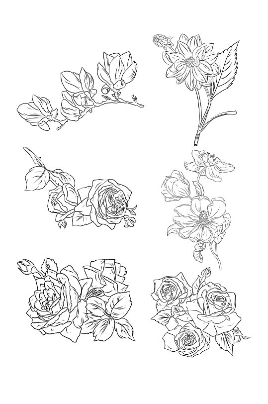 手绘玫瑰花朵爱情元素鲜花白玫瑰png元素大朵带枝玫瑰免扣素材立即