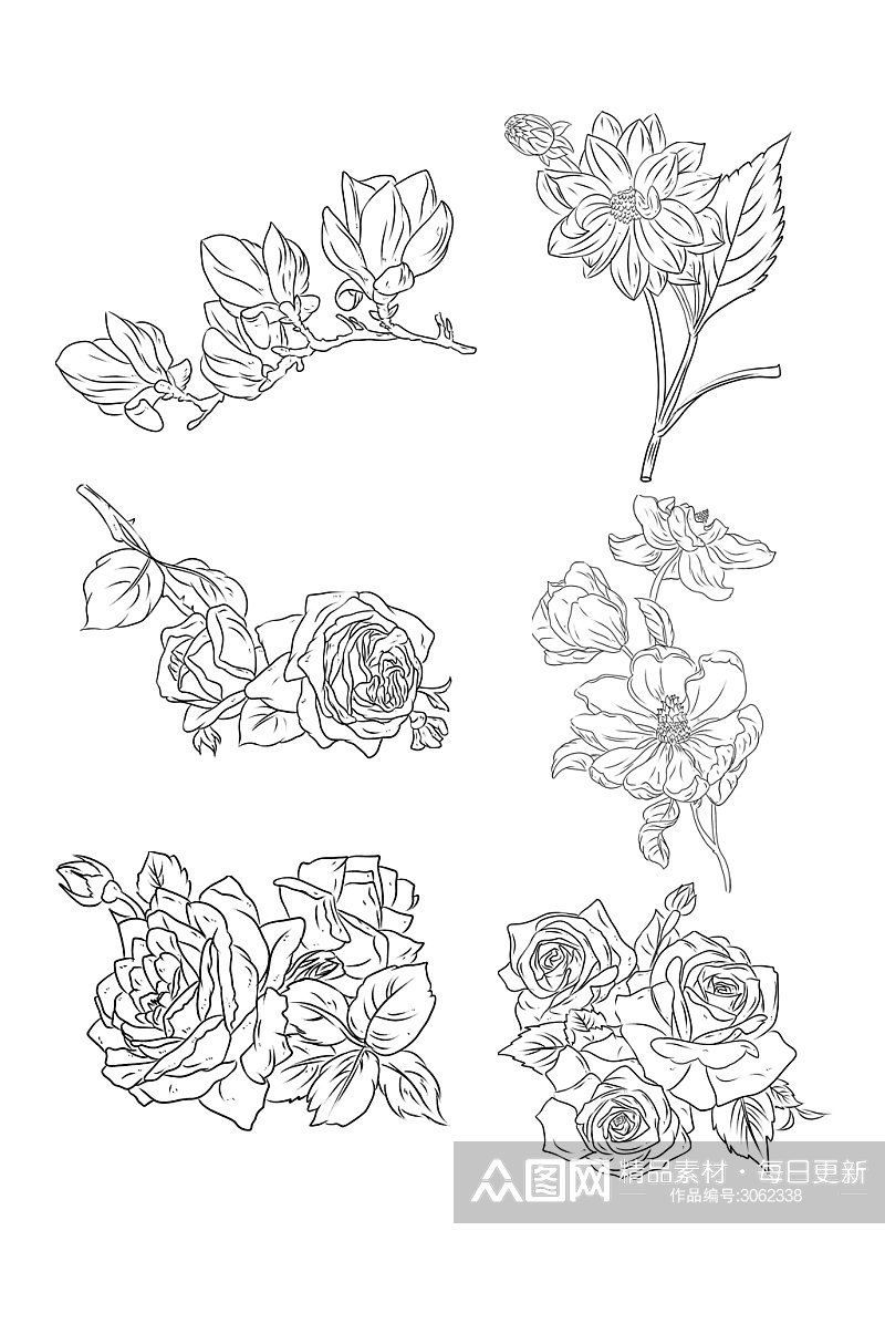 简约线条玫瑰手稿元素素材