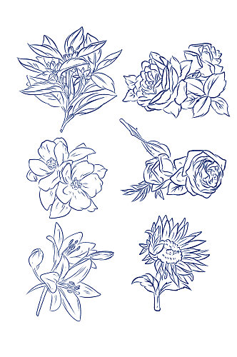 手绘简约线条花朵玫瑰花元素