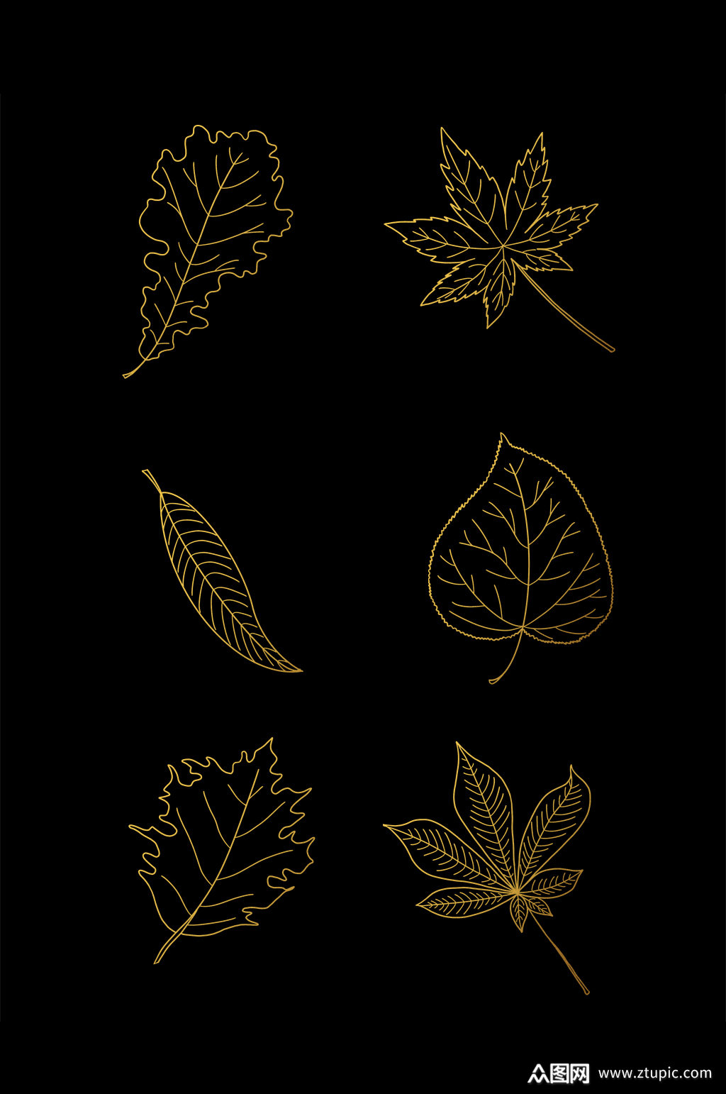 烫金树叶落叶线条纹理纹路元素素材