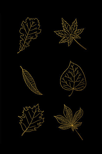 烫金树叶落叶线条纹理纹路元素