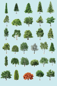 AI矢量树木小树