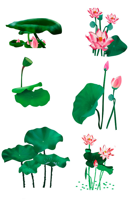 手绘荷花荷叶元素