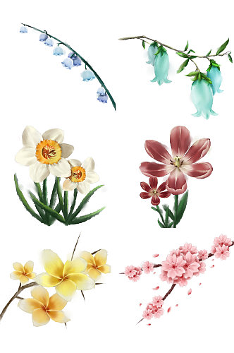 水墨水彩花卉花朵元素