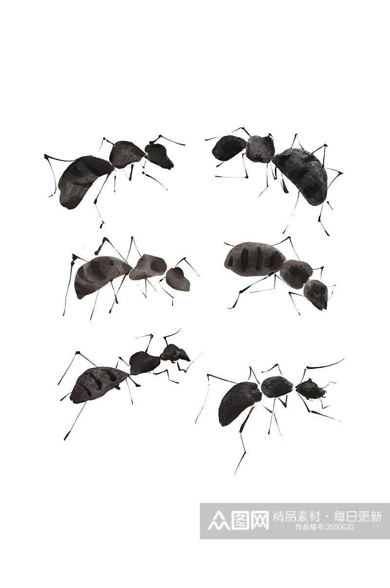 蚂蚁昆虫水墨风水彩手绘元素素材