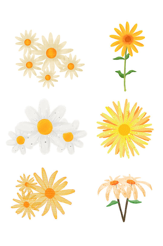 手绘小清新菊花素材元素