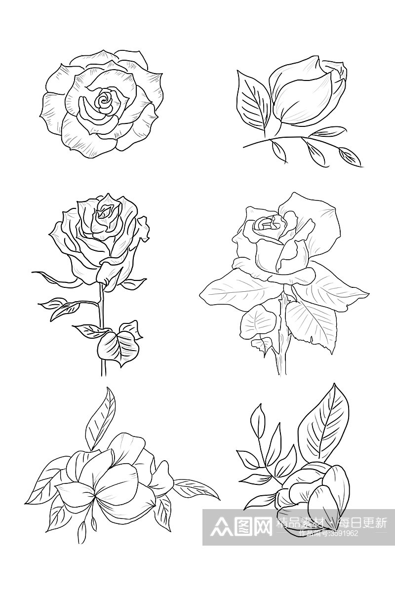 手绘线条玫瑰花元素素材