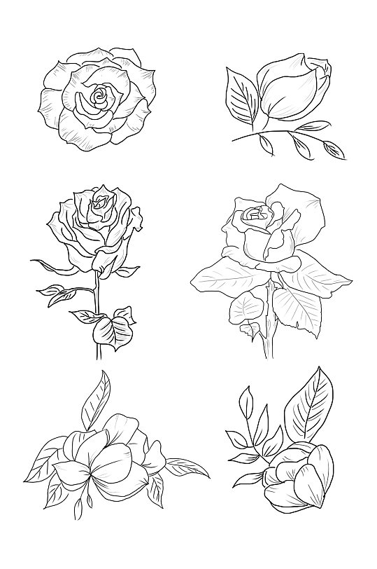 手绘线条玫瑰花元素