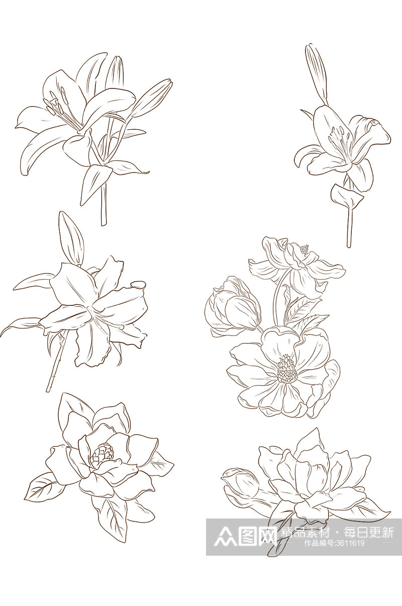 手绘线描线稿花朵元素素材