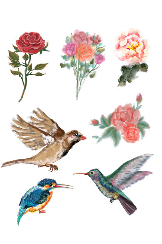 中式水彩手绘花鸟元素