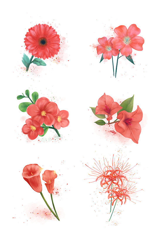 水彩珊瑚红花元素