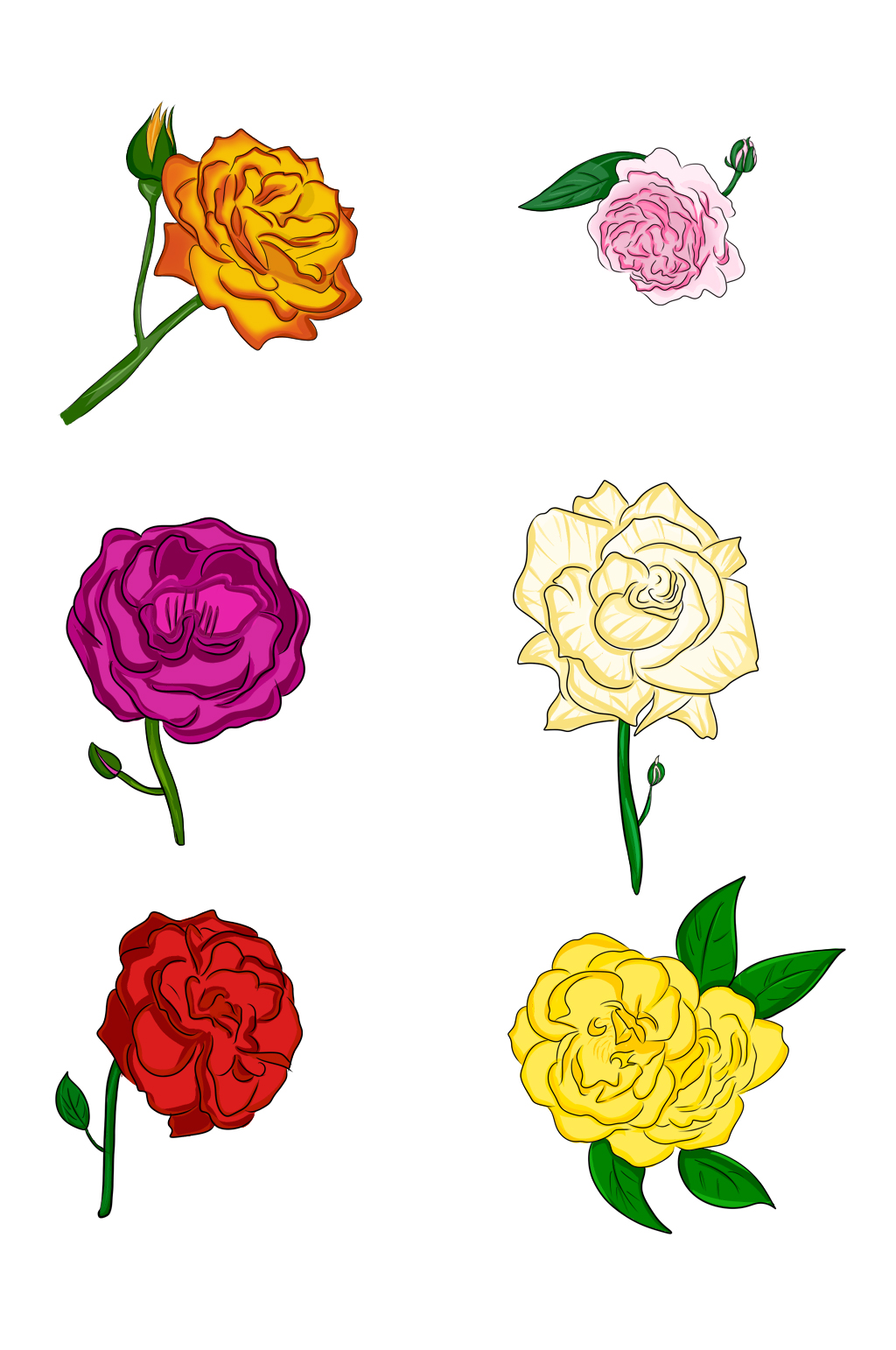 蔷薇花的简笔画颜色图片