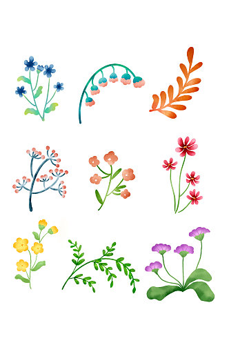 手绘水彩热带花卉花朵元素