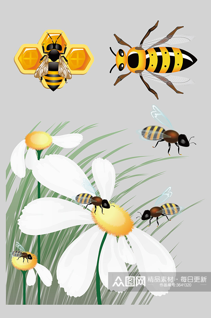 AI矢量蜜蜂采蜜蜜蜂素材