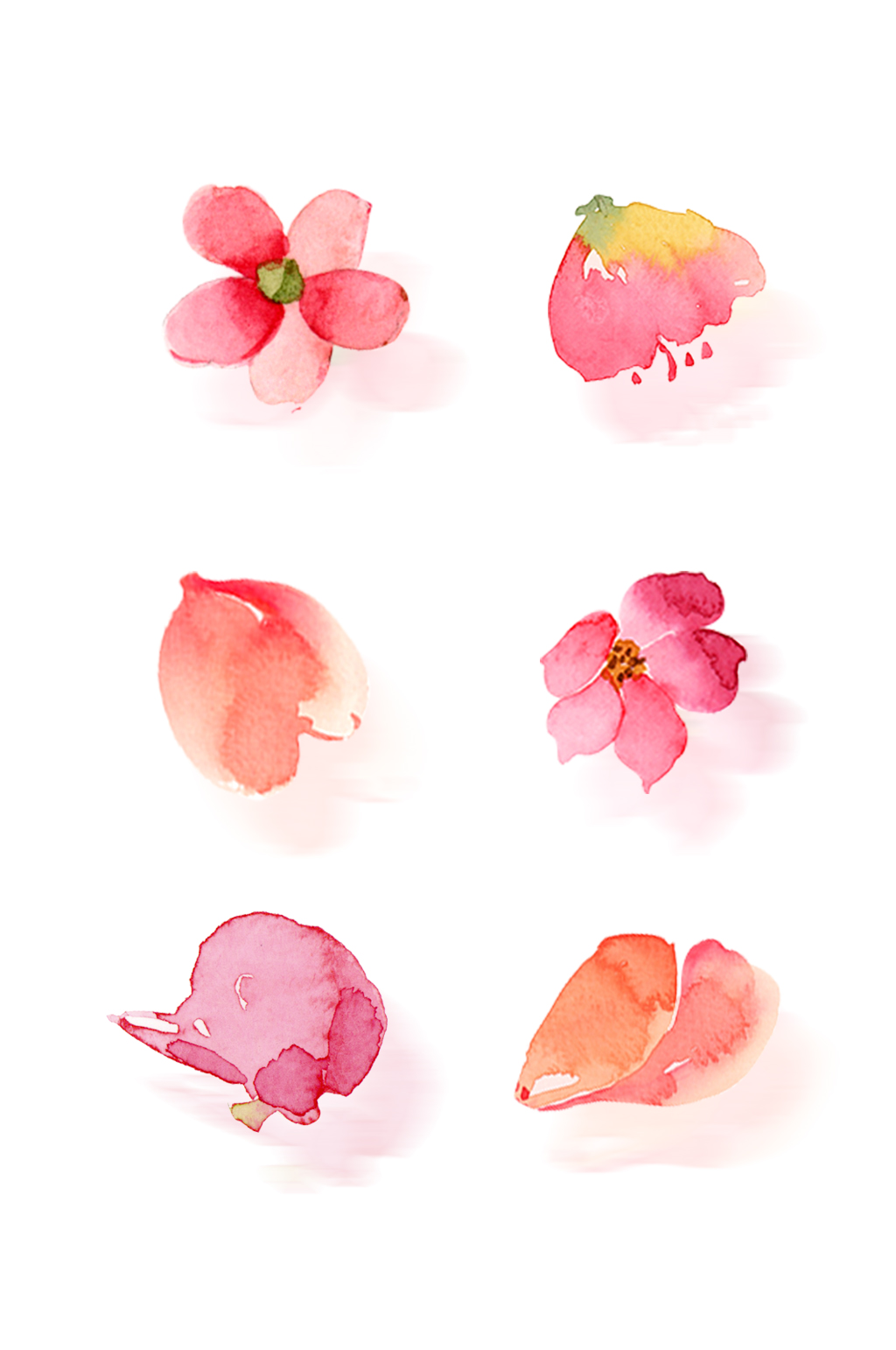 手绘花儿花瓣元素素材