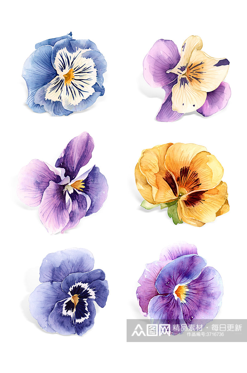 手绘水彩水墨花朵花儿元素素材