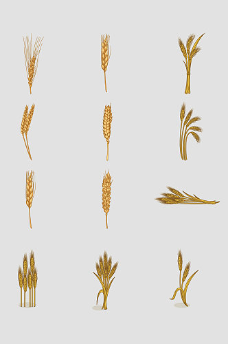 AI矢量麦子麦穗元素