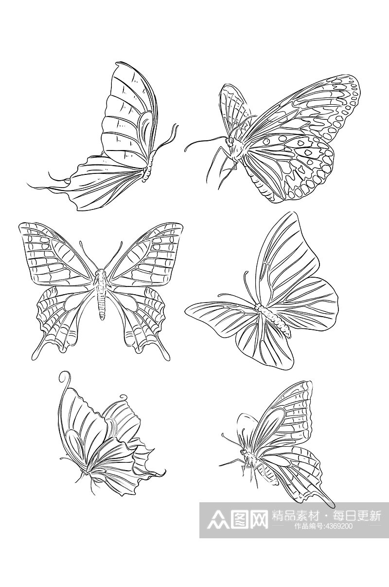 手绘线条蝴蝶元素素材