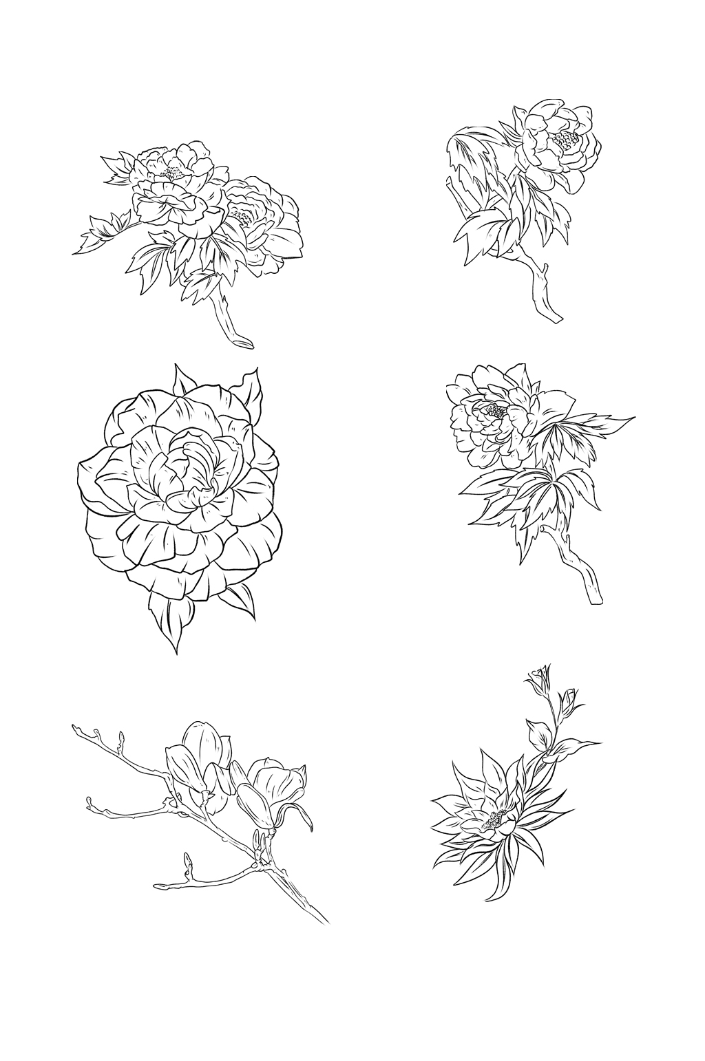 手绘线条花朵花儿元素素材