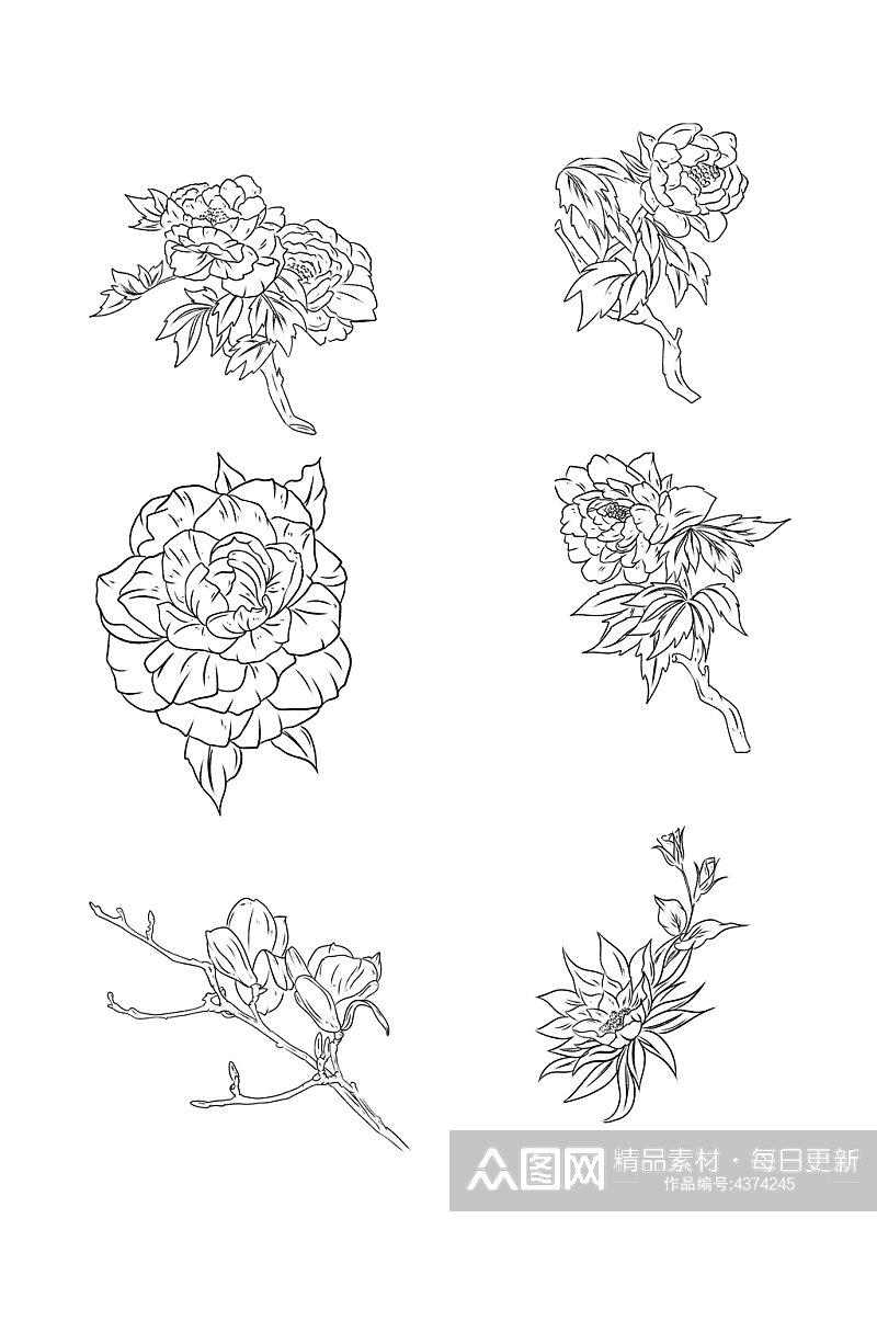 手绘线条花朵花儿元素素材