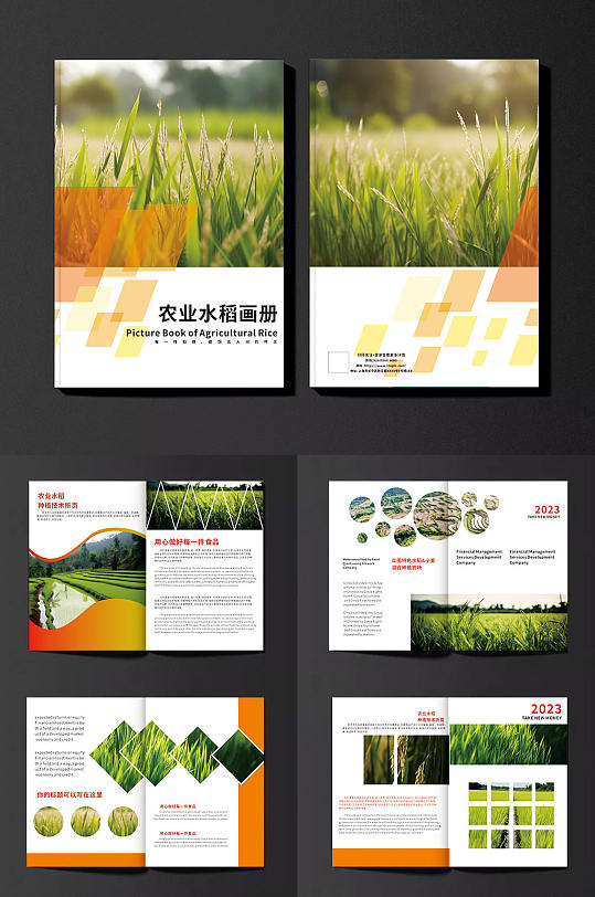 橙色水稻绿色农产品农业种植画册