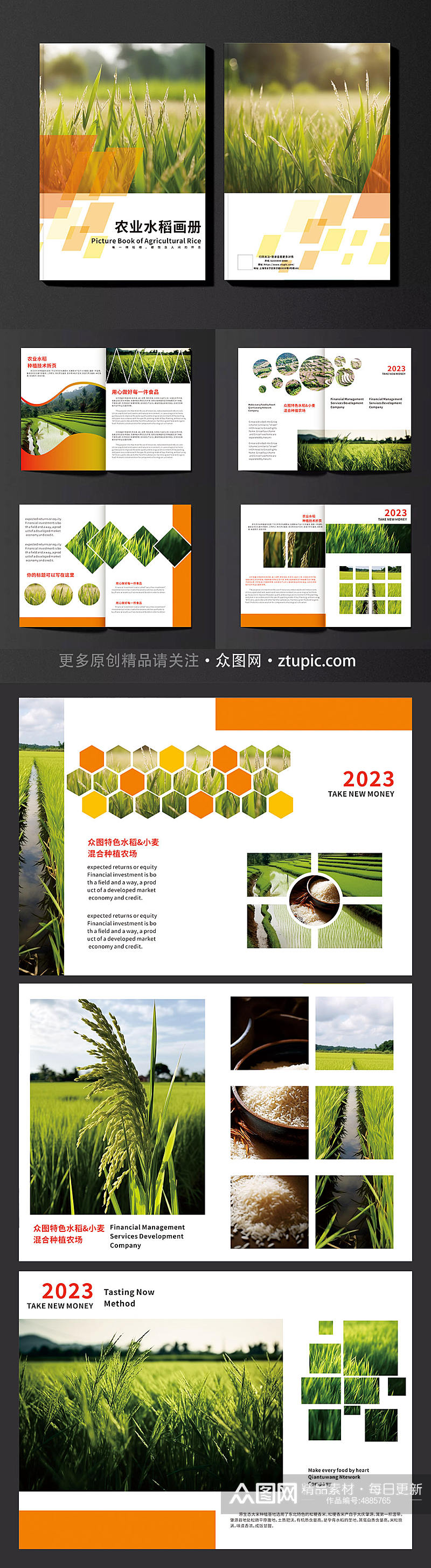 橙色水稻绿色农产品农业种植画册素材