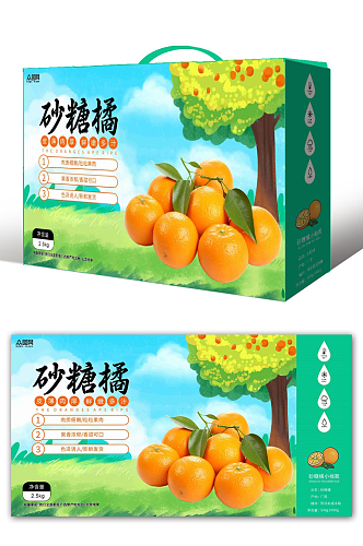 广西砂糖橘桔子水果包装
